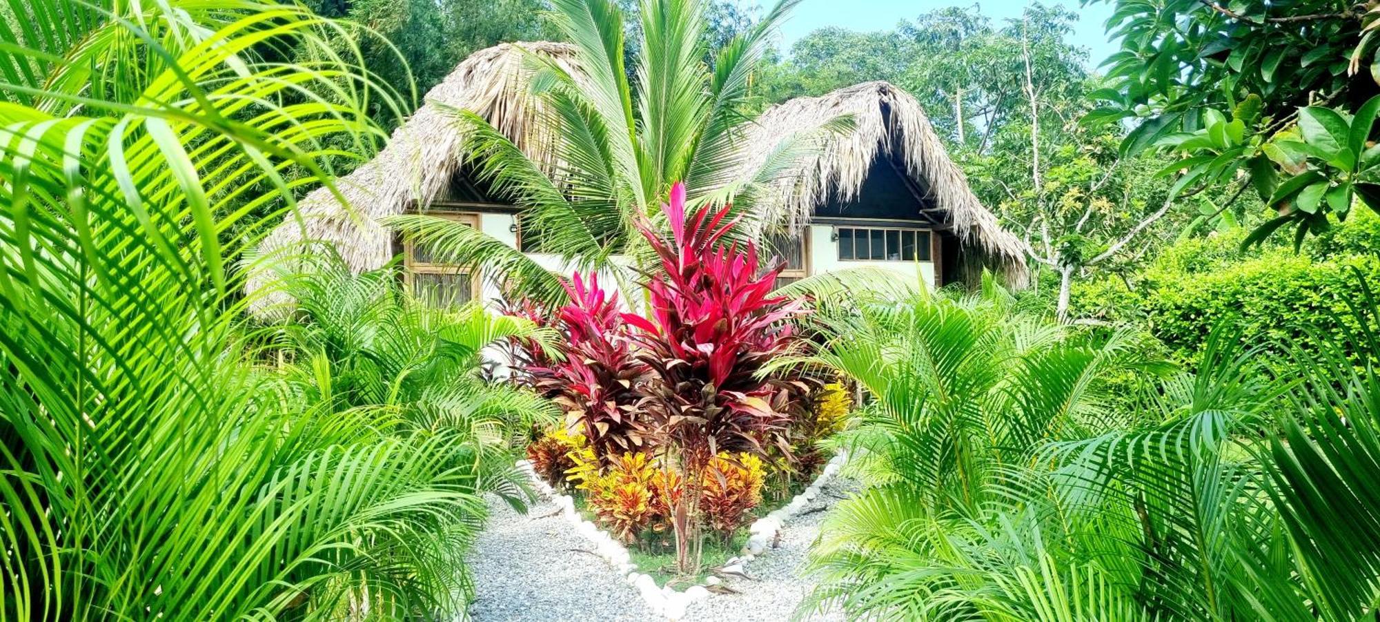 Encanto Hostel Guachaca Buitenkant foto